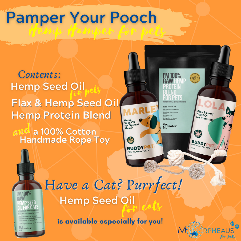 Pamper Your Pooch Hamper